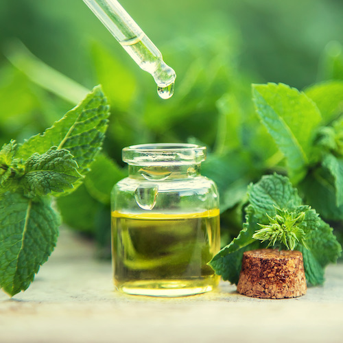 Aromathérapie Pharmacie Lavrut Dumon
